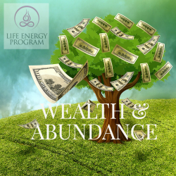 Wealth and Abundance from the Life Energy Program, Download the Audio Program and Book